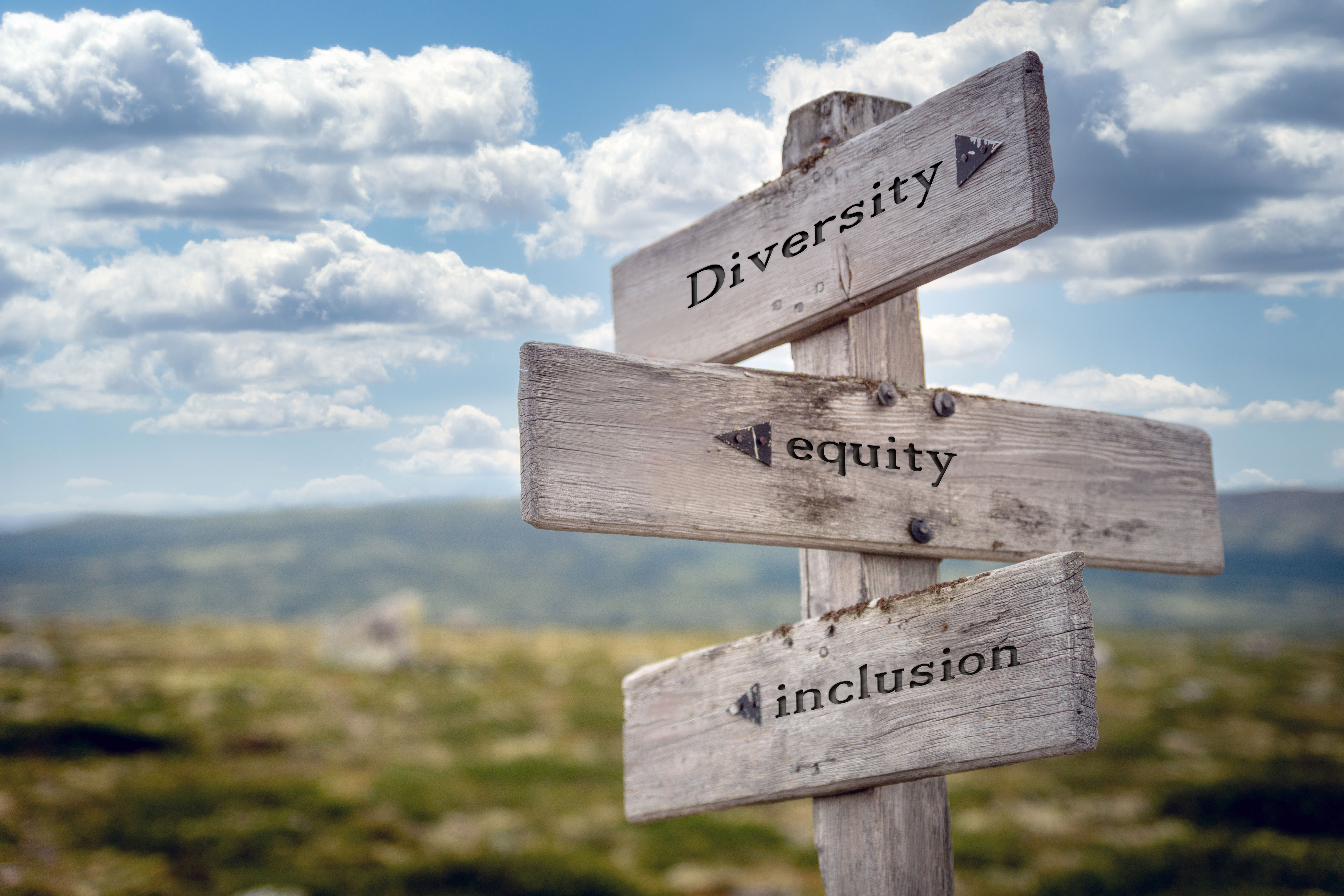 diversity equity inclusion agricultural resource economics UArizona xroads sign