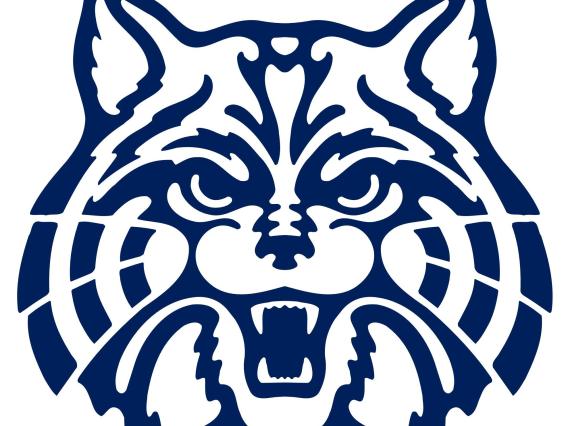 Wildcat face outline in blue color