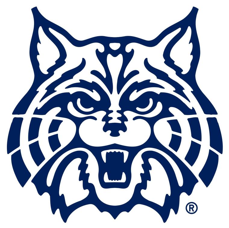 Wildcat face outline in blue color